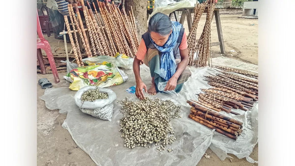 হারিয়ে যাচ্ছে মধুপুর গড়ের প্রাকৃতিক ‘মুক্তো’ বেতফল 