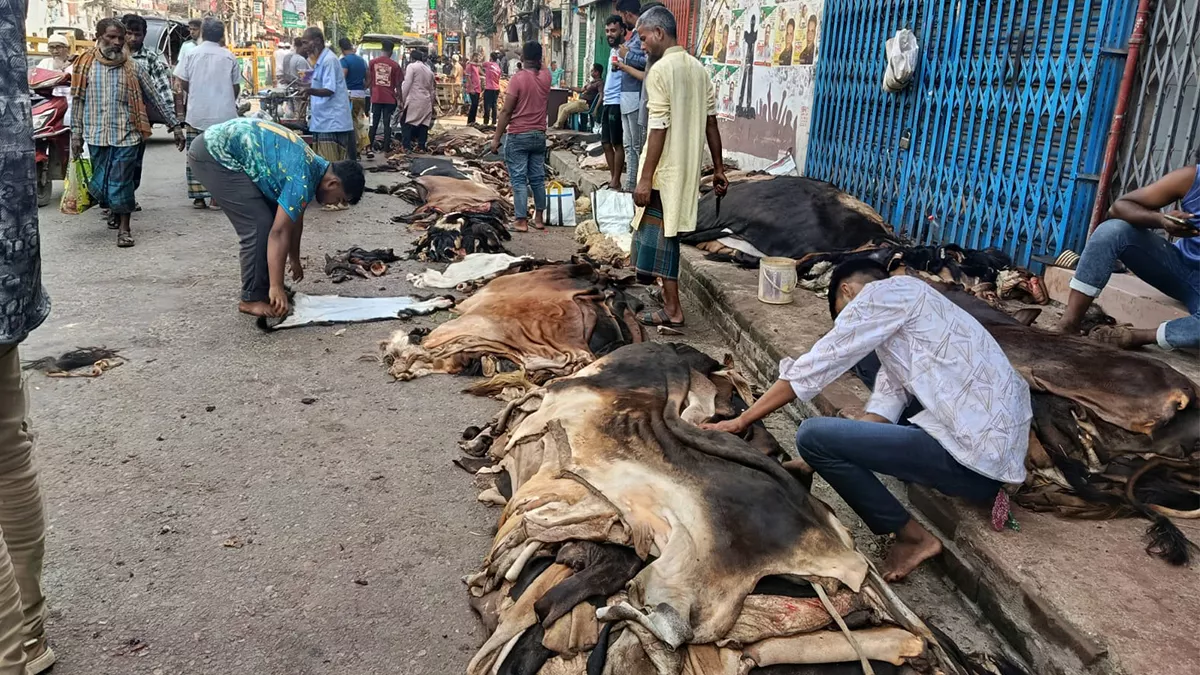 বগুড়ায় চামড়ার বাজারে ধস, বিপাকে মৌসুমি ব্যবসায়ীরা
