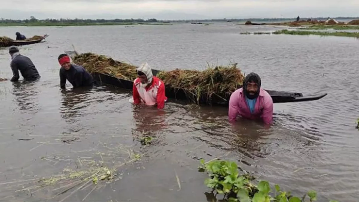 হাওরে ফসলহানি: সংকটের স্বরূপ