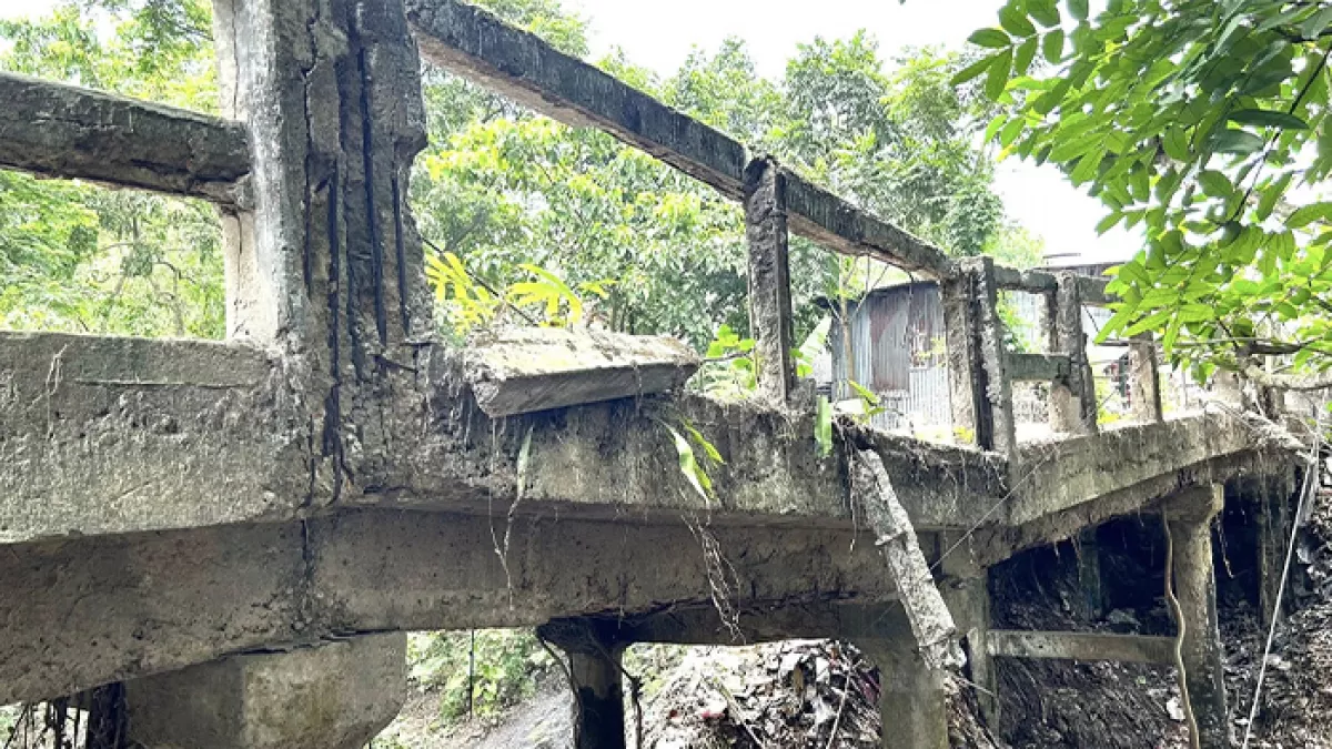 সেতু বেহাল, উদাসীন কর্তৃপক্ষ 