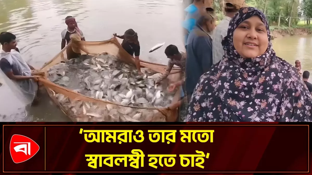 দিনাজপুরে মাছ চাষে সুরাইয়ার সাফল্য 