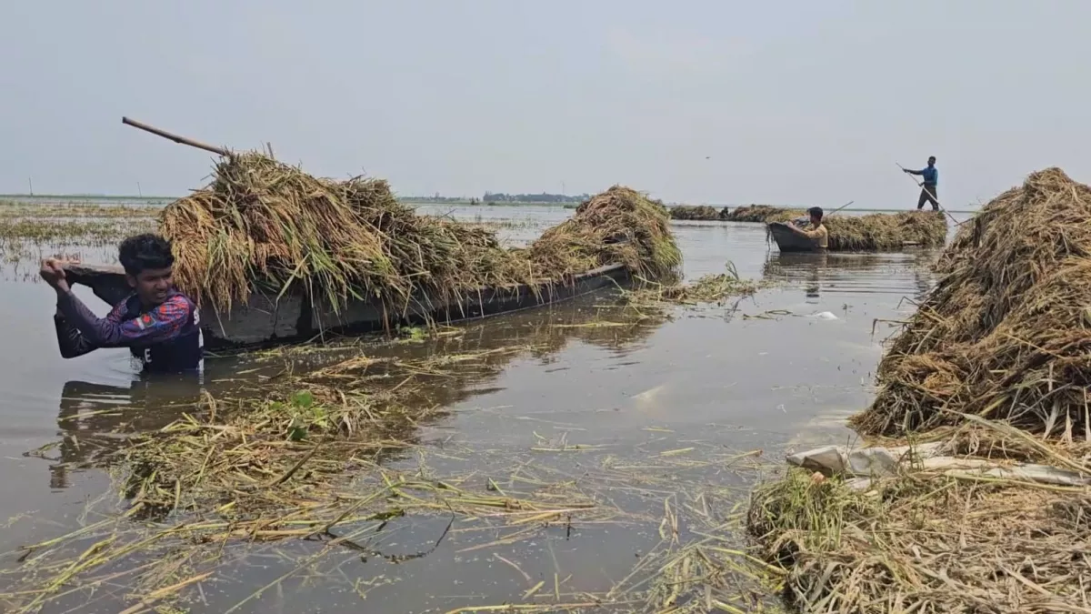 বৃষ্টি আর ঢলে ছয় জেলায় ৭৩৭ কোটি টাকার ক্ষতি 