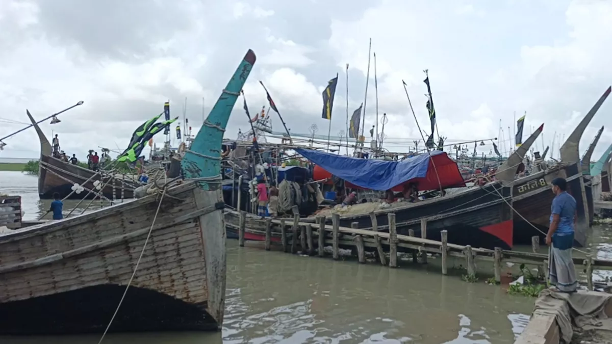 নদীর ছাড়পত্রে সাগর থেকে কৌশলে ইলিশ পাচার 