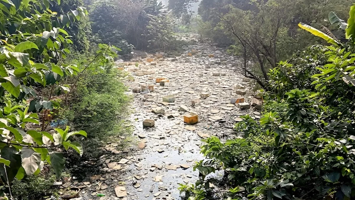 দখল-দূষণে অস্তিত্ব সংকটে পূর্ব শ্যামপুর খাল