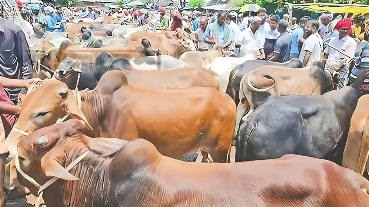 এক বছরে কমল আড়াই কোটি 