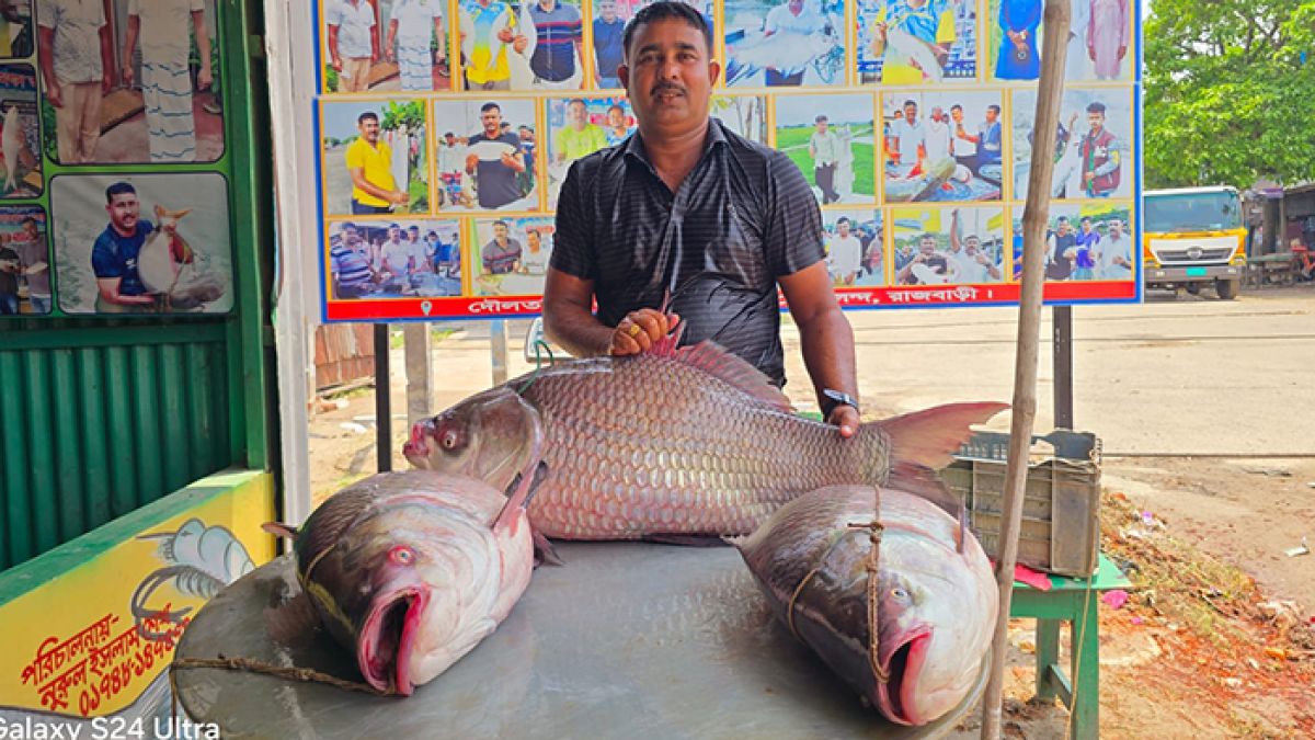 সোয়া লাখে বি‌ক্রি পদ্মার তিন কাত‌ল