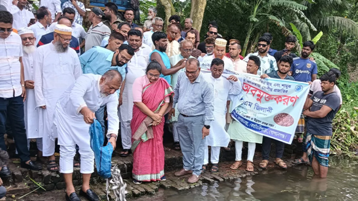 কোটালীপাড়ায় মাছের পোনা অবমুক্ত