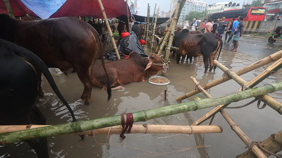 বেচাকেনা জমবে আজ