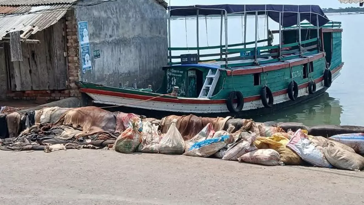 ক্রেতা না থাকায় ফেলে দেওয়া হচ্ছে কোরবানির চামড়া