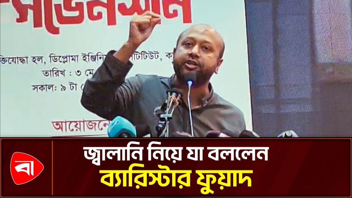 জ্বালানি, বিদ্যুৎ নিয়ে নতুন তর্কটা তোলা দরকার: ফুয়াদ