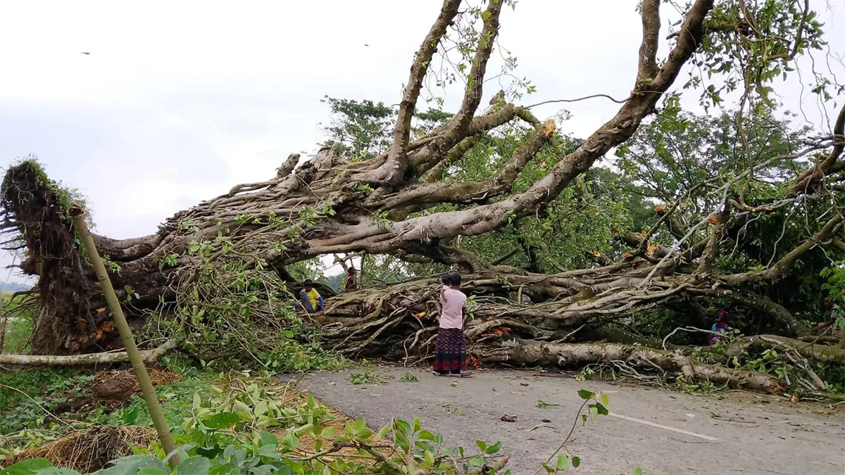নওগাঁয় ঝড়ের তাণ্ডবে লন্ডভন্ড ঘরবাড়ি, দোকানপাট ও খেত