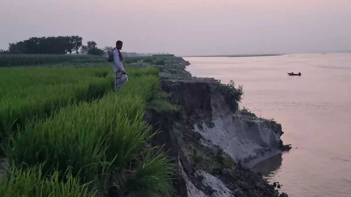 রাজবাড়ীতে নদীভাঙনে বিলীন বসতভিটা, বেড়িবাঁধ, কৃষিজমি