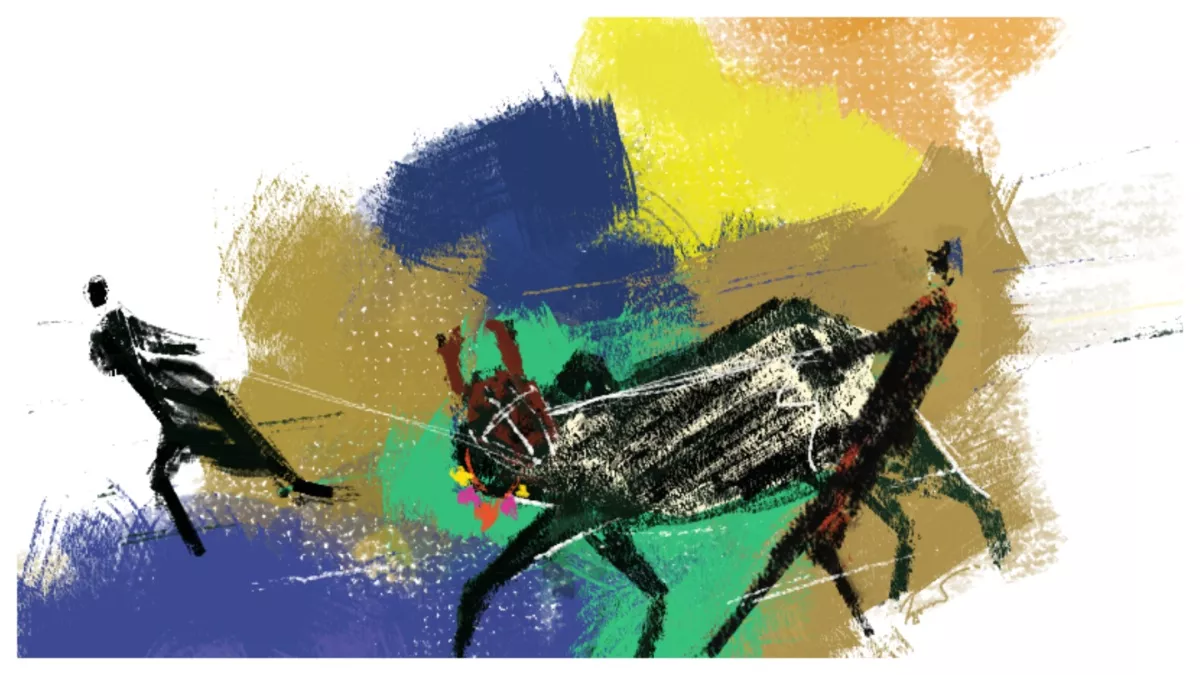 গরু বনাম ঘরু