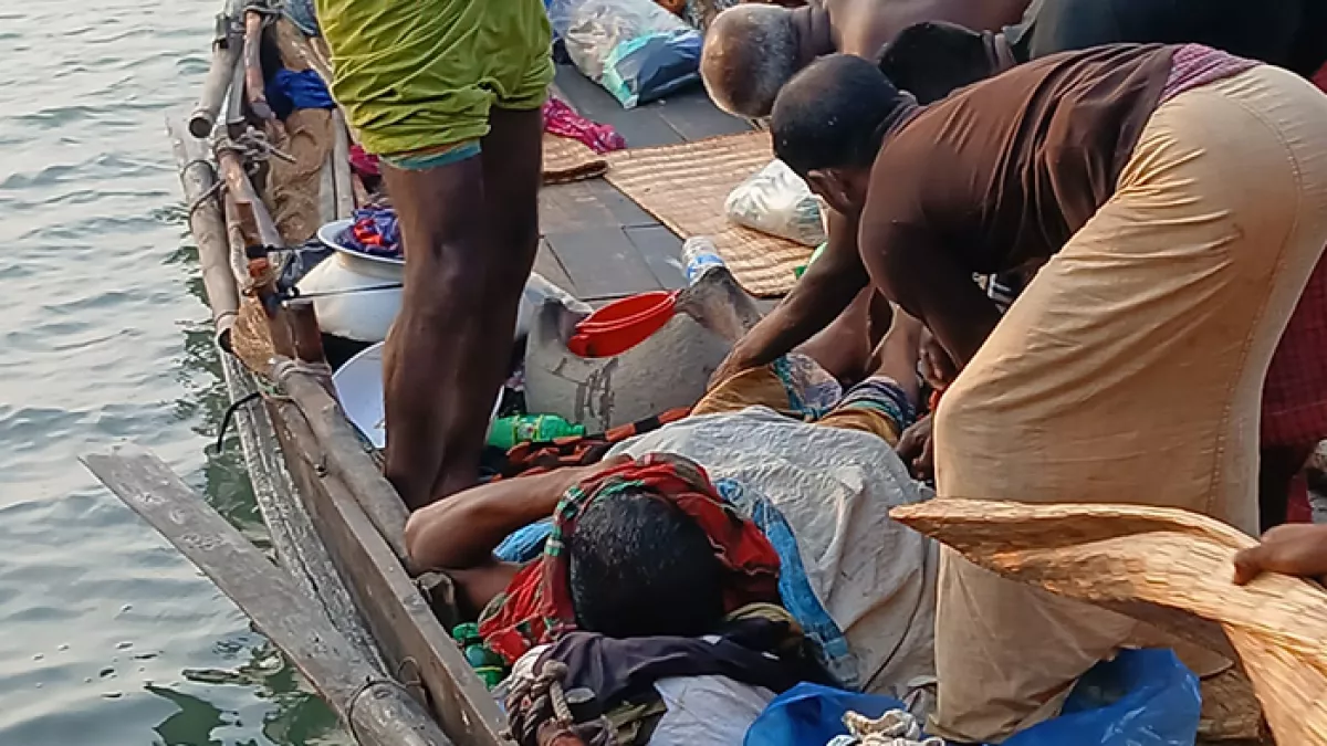 সুন্দরবনে বাঘের আক্রমণে মৌয়াল আহত