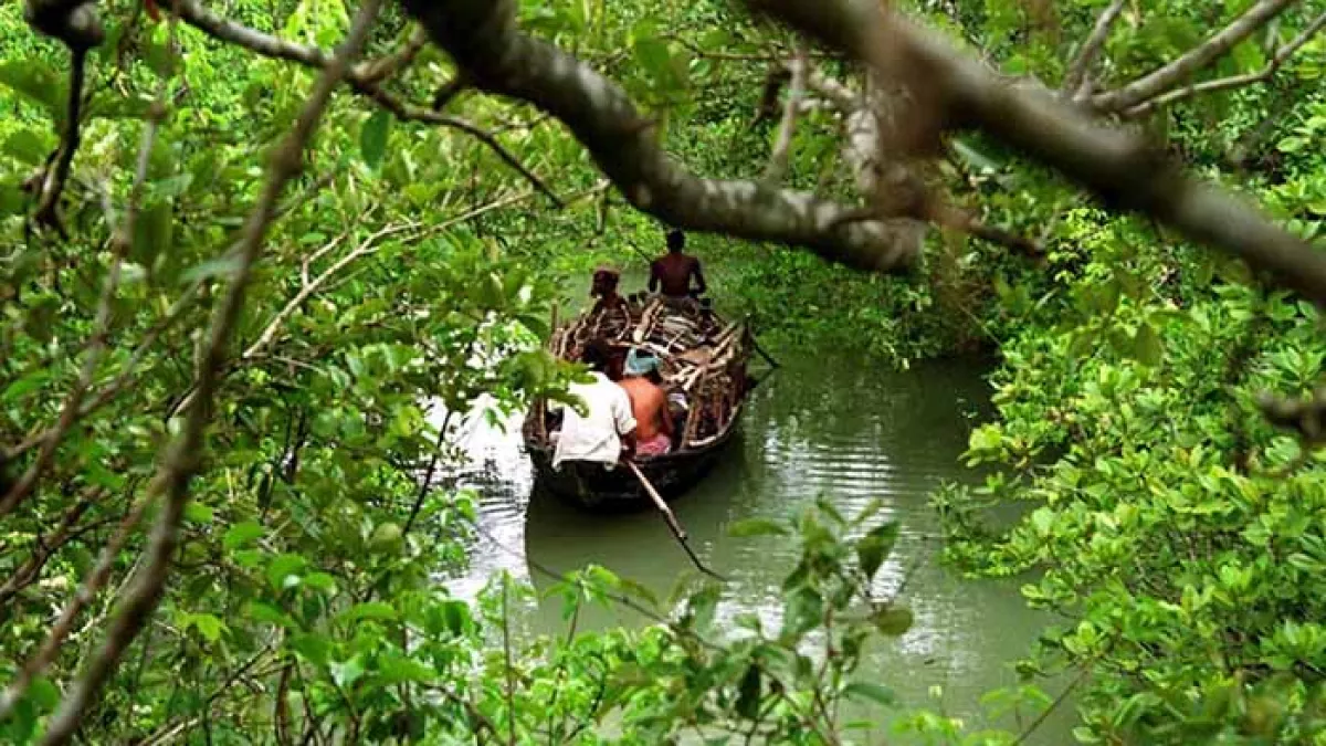 সুন্দরবনে ট্রলারসহ ১৭ জেলেকে অপহরণ