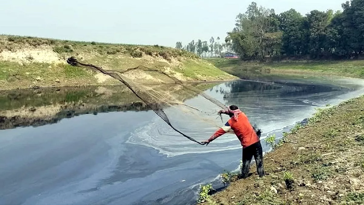 ঝুঁকিতে মানুষ-হাওর খাদ্যশৃঙ্খল