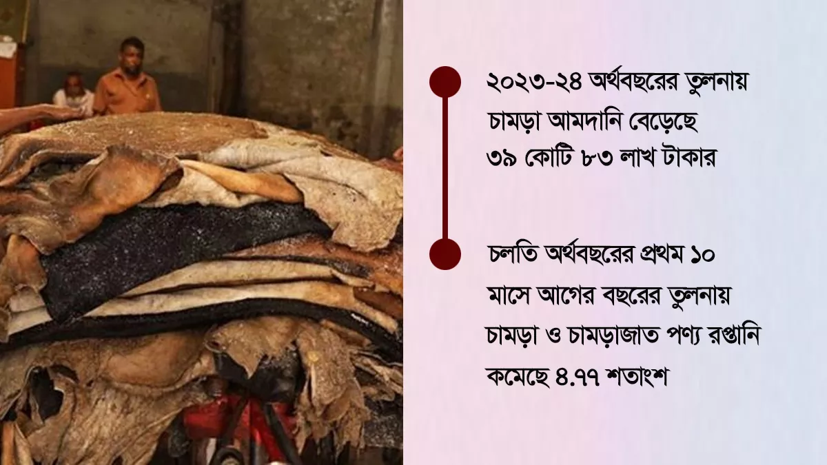 চামড়ার ভান্ডার, তবুও কোটি কোটি টাকার আমদানি