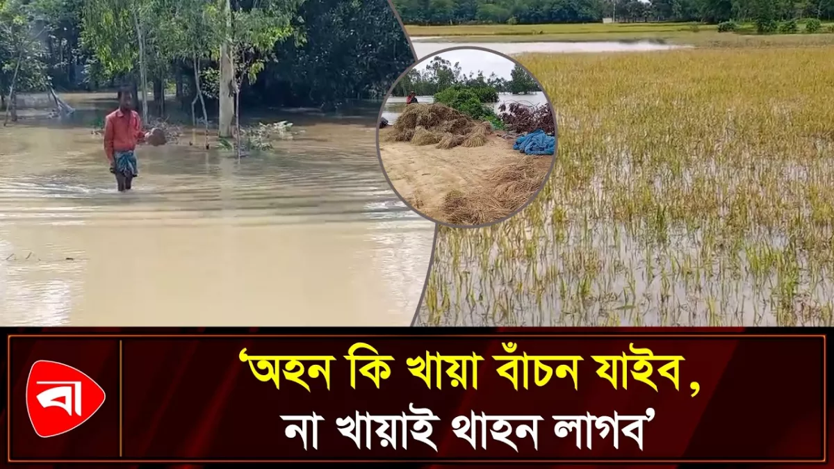 হালুয়াঘাটে প্লাবিত আরও পাঁচ গ্রাম