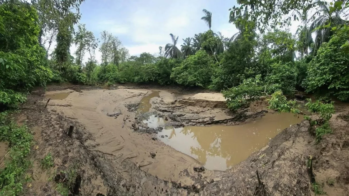 সাতছড়ি জাতীয় উদ্যান : জলাধার ঘিরে উদ্বেগ