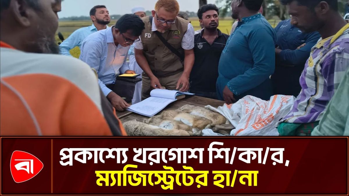 চুয়াডাঙ্গায় বন্য খরগোশ শিকার, চারজনকে কারাদণ্ড