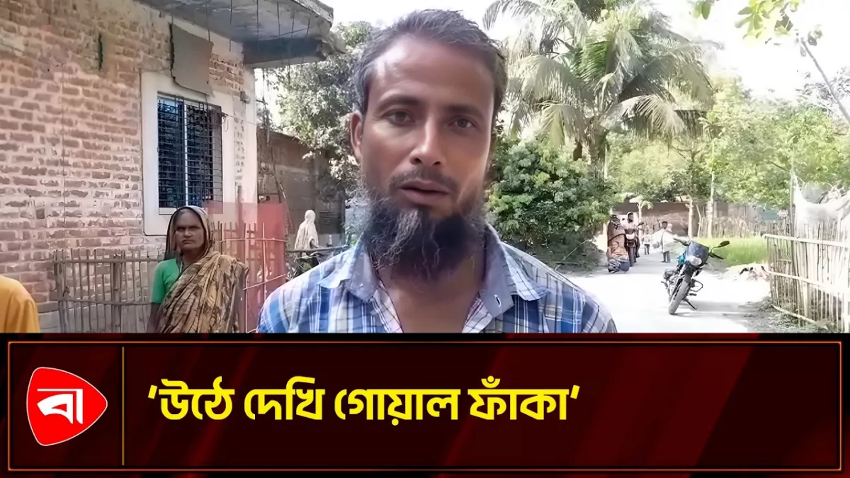 ইটের দেয়াল ভেঙে গরু চুরি, কোরবানির আগে আতঙ্কিত খামারিরা