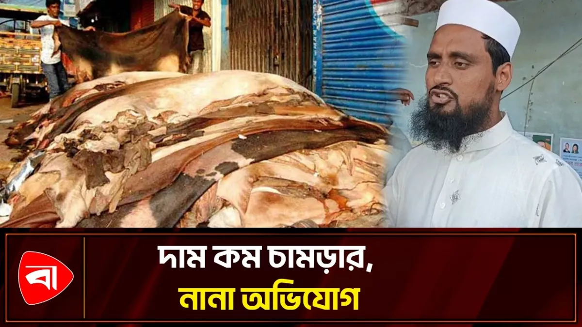 চামড়া সংগ্রহ ও প্রক্রিয়াজাতকরণ চলছে বরিশালে