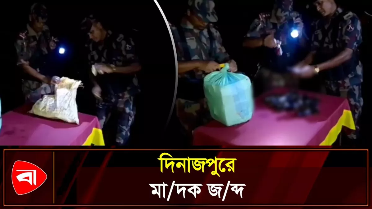 বিজিবির অভিযানে সোয়া ৩ লাখ টাকার মাদক জব্দ