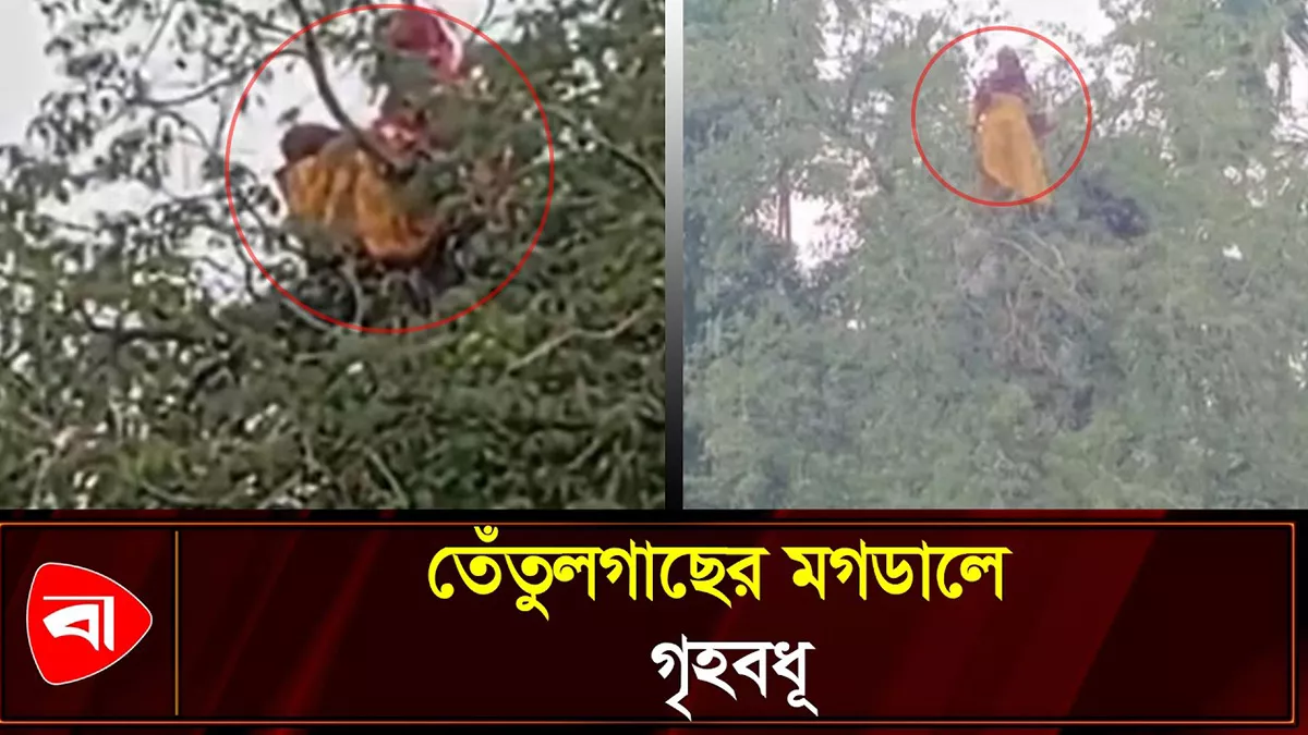  রাতভর লাপাত্তা, সকালে গাছে দেখা গেল গৃহবধূকে