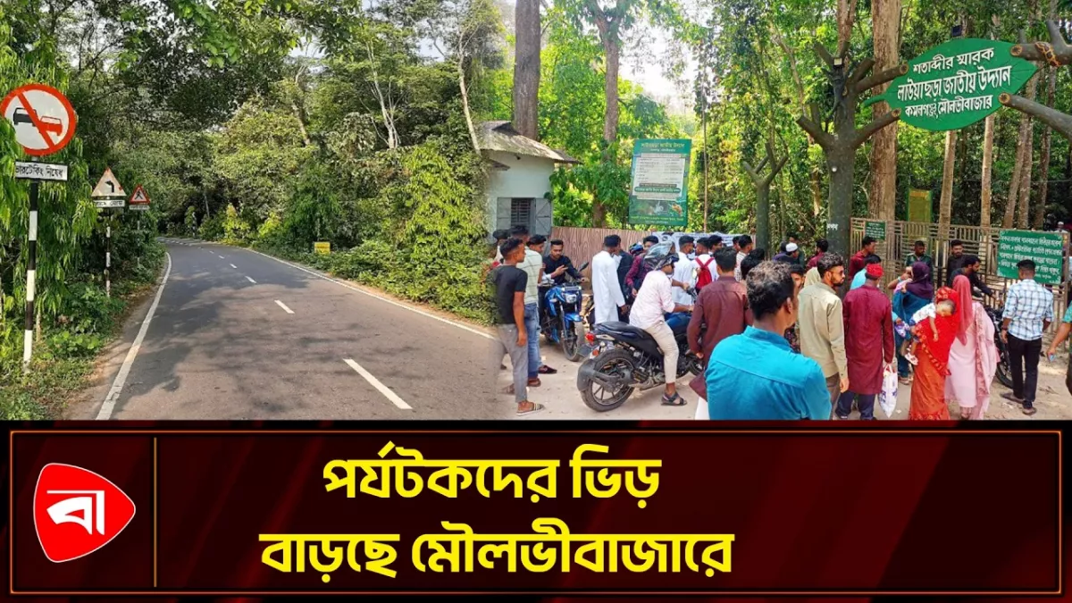 ঈদের তৃতীয় দিনে মৌলভীবাজারে পর্যটকের ঢল