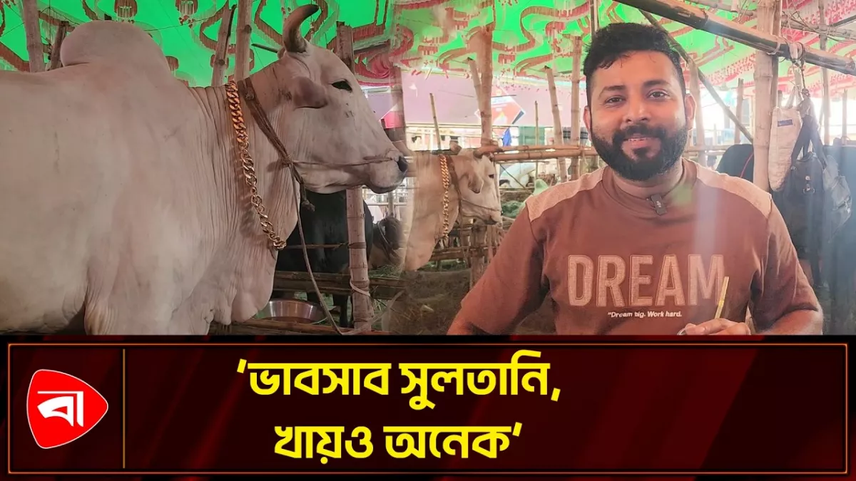 গাবতলী পশুর হাটে নজর কাড়ছে ‘সুলতান’