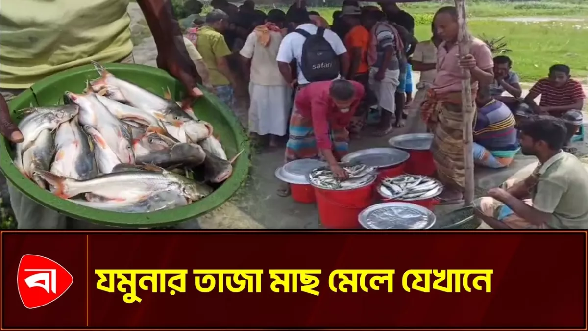 মেঘাই ঘাট গেলে, তাজা মাছ মেলে