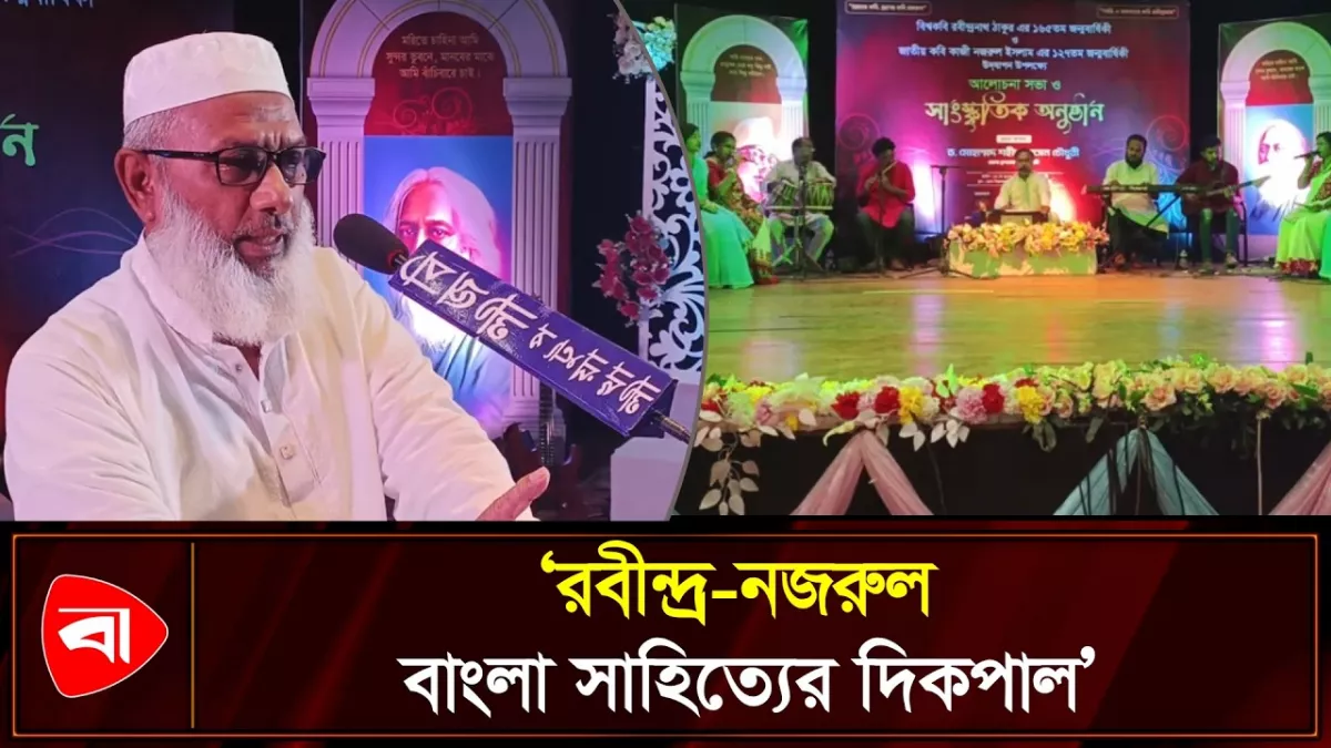 রবীন্দ্রনাথ বড় একা ছিলেন: পটুয়াখালীর ডিসি