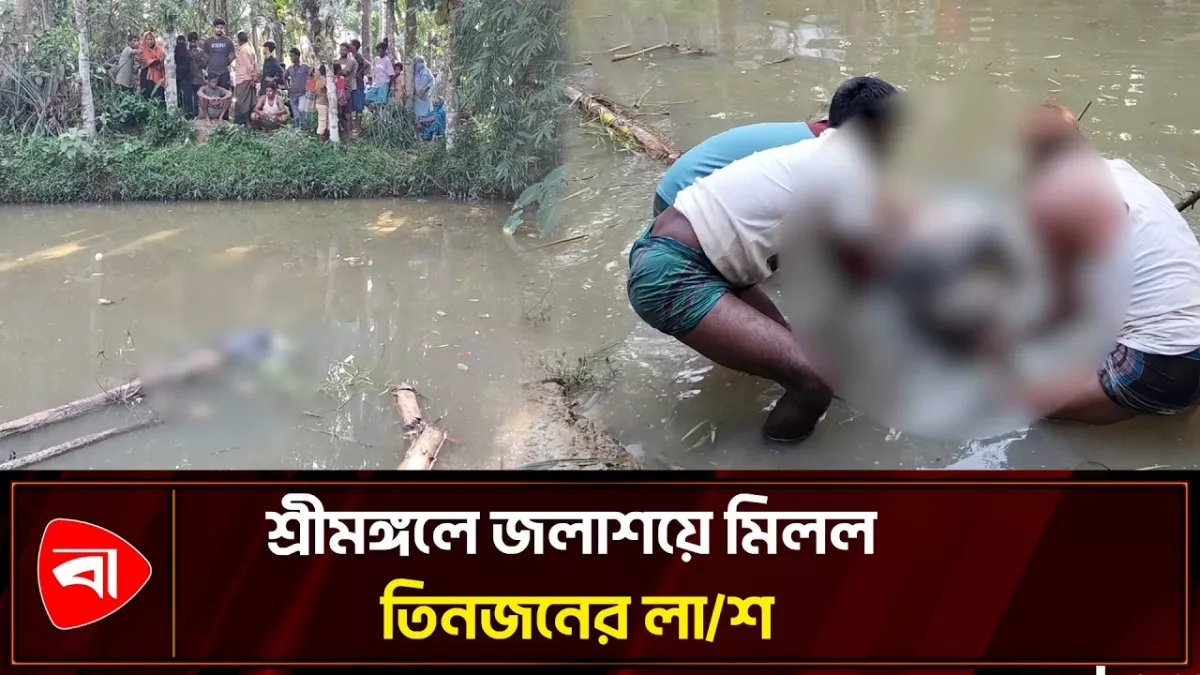 শ্রীমঙ্গলে দুই দিনে তিন লাশ উদ্ধার