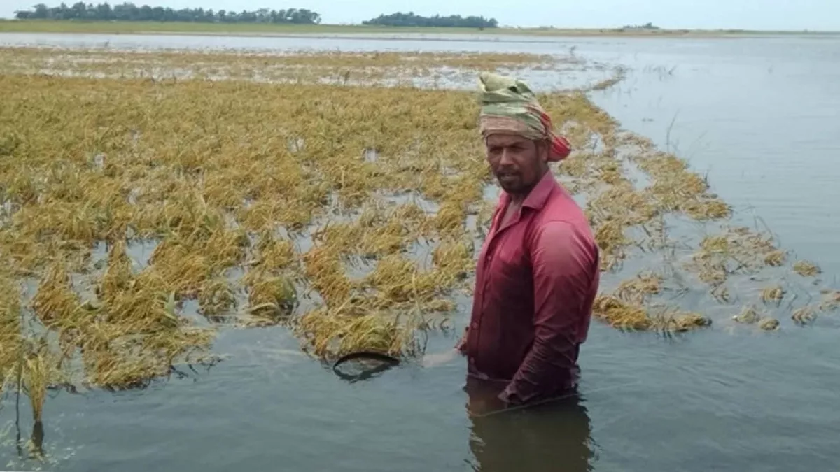 হাওরে বন্যা নিয়ন্ত্রণই বড় চ্যালেঞ্জ
