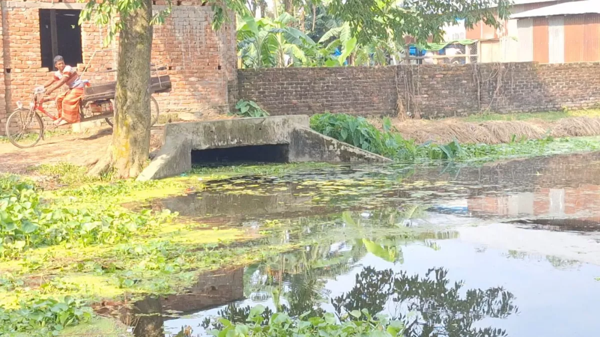 বিএনপি নেতার বিরুদ্ধে কালভার্ট বন্ধ করে বাড়ি নির্মাণের অভিযোগ