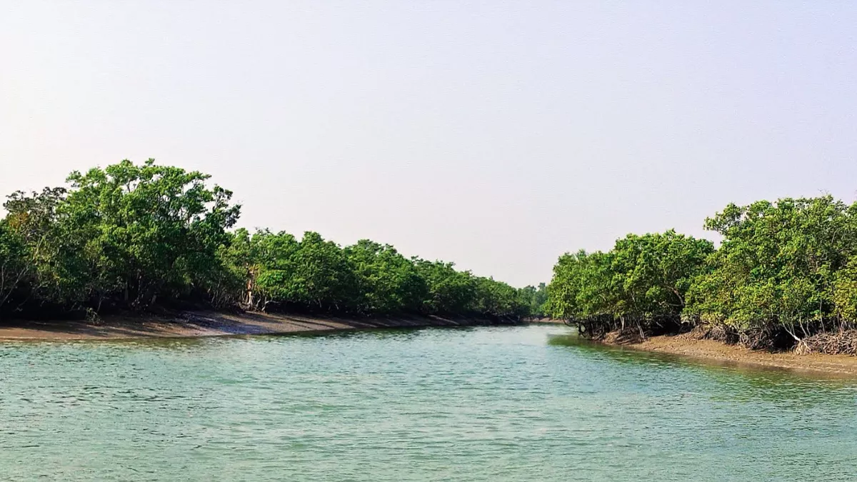 সুন্দরবনে ৭ জেলেকে অপহরণ, মুক্তিপণ দাবি