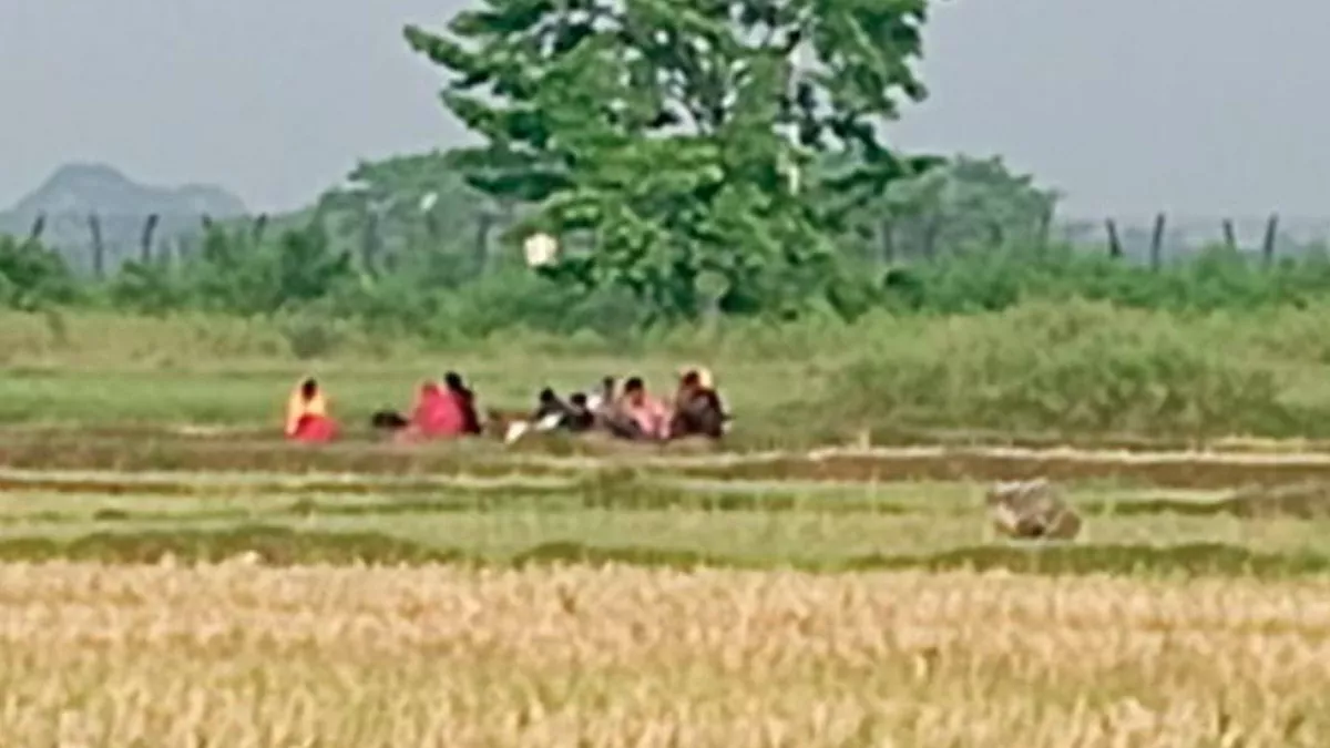 বিএসএফের পুশইন: শূন্যরেখায় ১০ জনের মানবেতর জীবন