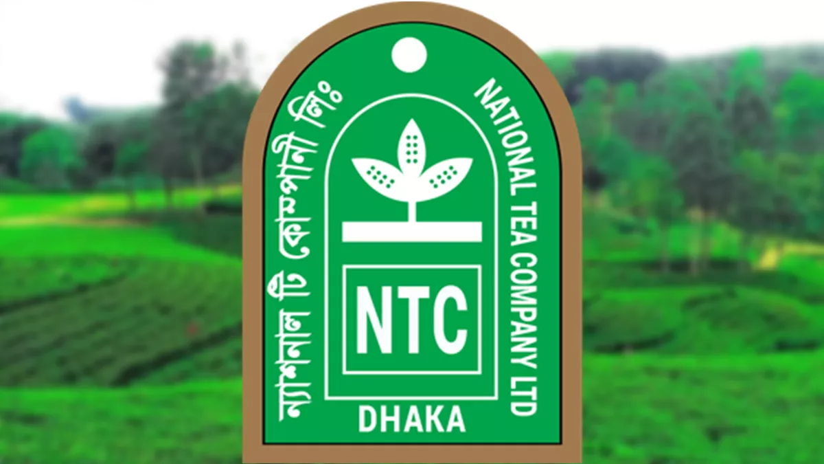 ন্যাশনাল টি কোম্পানি (এনটিসি) লোগোর নিচে চা বাগান। গ্রাফিক্স: প্রতিদিনের বাংলাদেশ