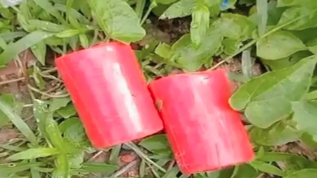 সাতক্ষীরার কালিগঞ্জে স্থানীয় বিএনপি কার্যালয়ের সামনে থেকে ককটেল দুইটি উদ্ধার করা হয়। ছবি: প্রতিদিনের বাংলাদেশ
