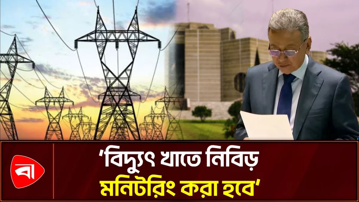 বিদ্যুৎ খাতে হরিলুট হয়েছে: অর্থমন্ত্রী