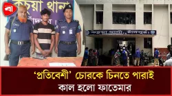 মদের টাকা যোগাতে সিঁধ কেটে চুরি, চিনে ফেলায় নারী খুন
