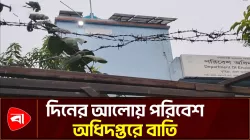 কুমিল্লায় পরিবেশ অধিদপ্তরে দিনের আলোয় জ্বলছিল বাতি