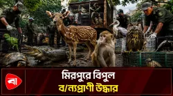 দেশের ইতিহাসে সবচেয়ে বড় বন্যপ্রাণীর চালান আটকের দাবি