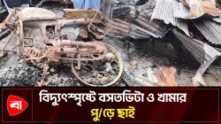 সুবর্ণচরে বিদ্যুৎস্পৃষ্টে পুড়ল বাড়ি, মরল গরু