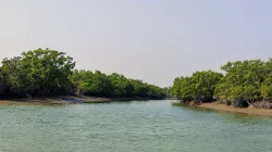 সুন্দরবনে মুক্তিপণ দিয়ে বাড়ি ফিরলেন অপহৃত ৪ জেলে