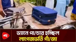 কোটালীপাড়ায় ১০ কেজি গাঁজাসহ মাদক কারবারি আটক