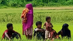 ভারত থেকে বাঙালি মুসলিমদের জোরপূর্বক ঠেলে দেওয়া হচ্ছে: এইচআরডব্লিউ