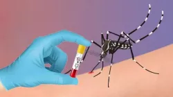 ডেঙ্গুতে মৃত্যু বেড়ে ১২