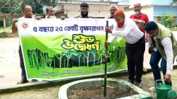 ধামইরহাটে বৃক্ষরোপণ কর্মসূচির উদ্বোধন