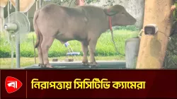 অবহেলায় নয়, চিড়িয়াখানায় রাজকীয় হালতে ‘ডোনাল্ড ট্রাম্প’ 